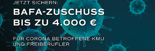 Beratung im Wert von bis zu 4.000 € wird zu 100% durch das BAFA bezuschusst