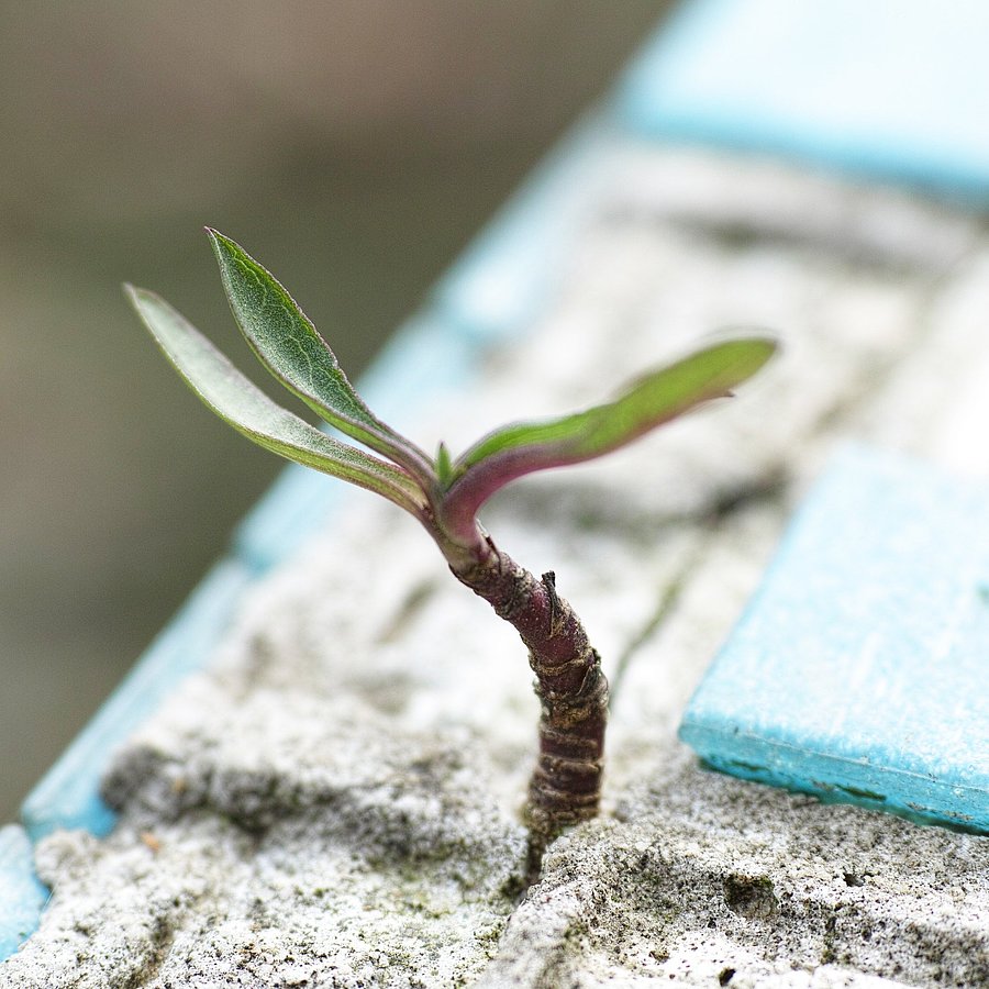 Wir meistern die Krise zusammen